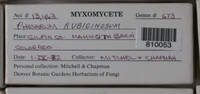 Image Associated With the Occurence